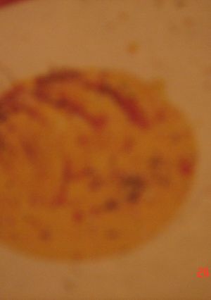 Una foto de Langostinos en salsa de choclo