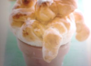 Una foto de Macetas con dulce
