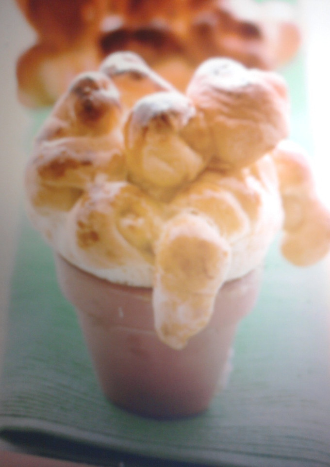 Una foto de Macetas con dulce