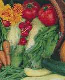 Gazpacho Andaluz con tropezones