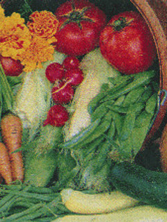 Una foto de Gazpacho Andaluz con tropezones