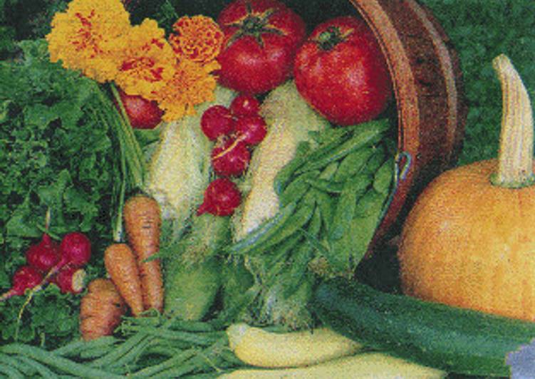 Gazpacho Andaluz con tropezones