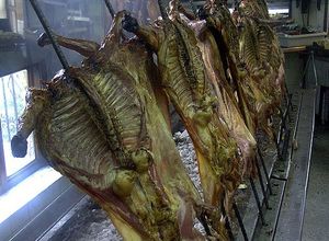 Una foto de Cabrito al pastor