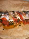 Estornino en papillote (microondas)
