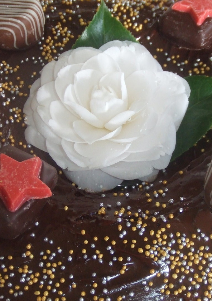 Una foto de Tarta de cumpleaños chococamelia