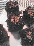 Minis gateau de mousse de chocolate