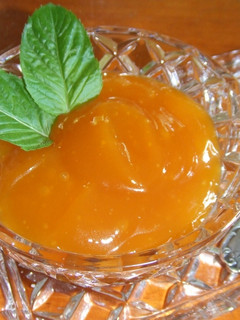 Una foto de Salsa de mandarinas para aves