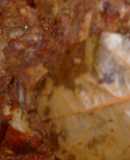 Birria Campestre Pascual