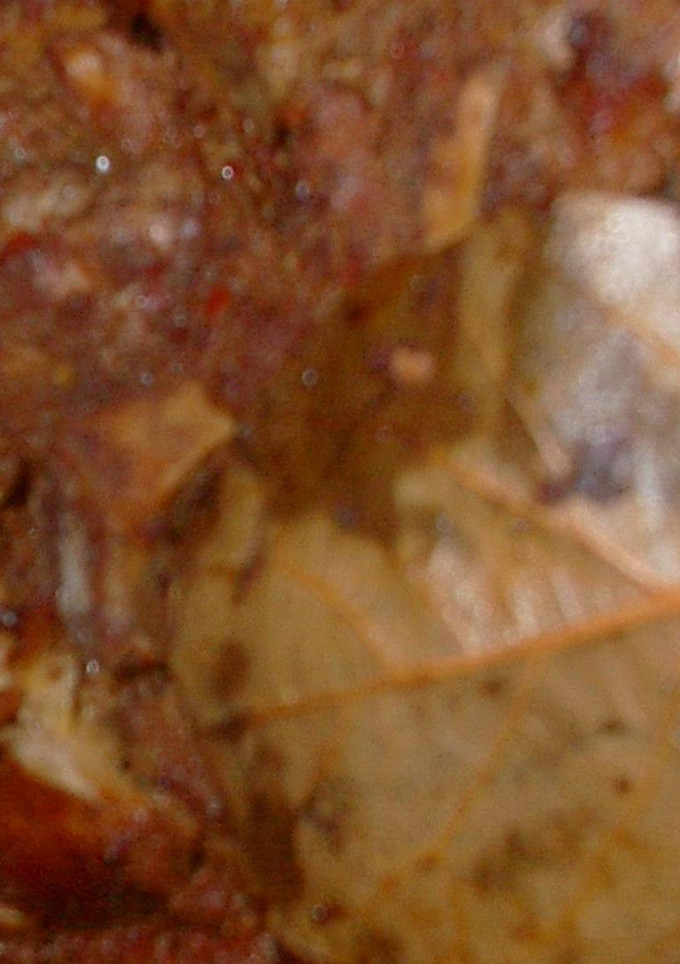 Una foto de Birria Campestre Pascual