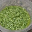 Pesto