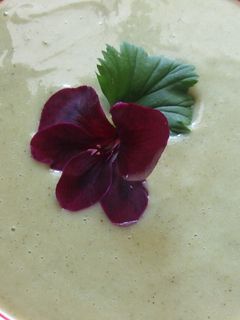 Una foto de Sopa fría de endibias