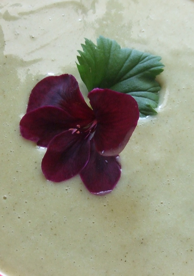 Una foto de Sopa fría de endibias