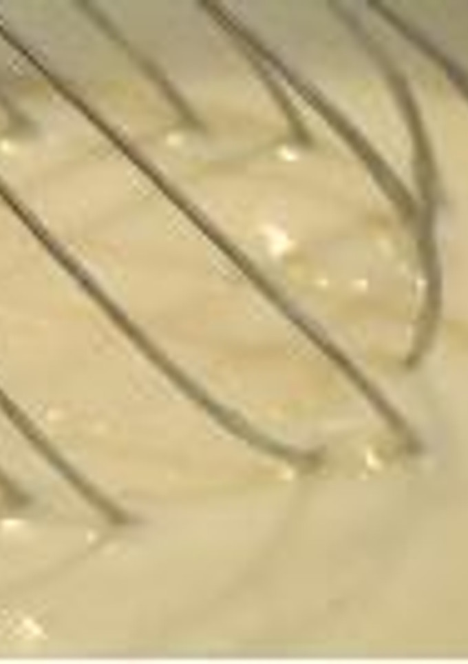 Una foto de Salsa bechamel