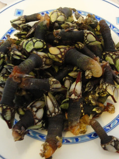 Una foto de Percebes gallegos cocidos