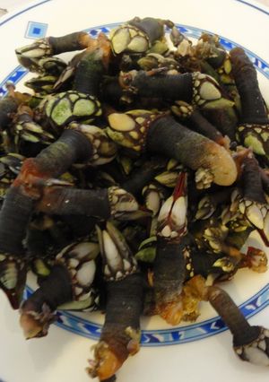 Una foto de Percebes gallegos cocidos