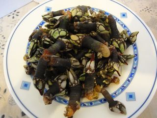 Percebes gallegos cocidos