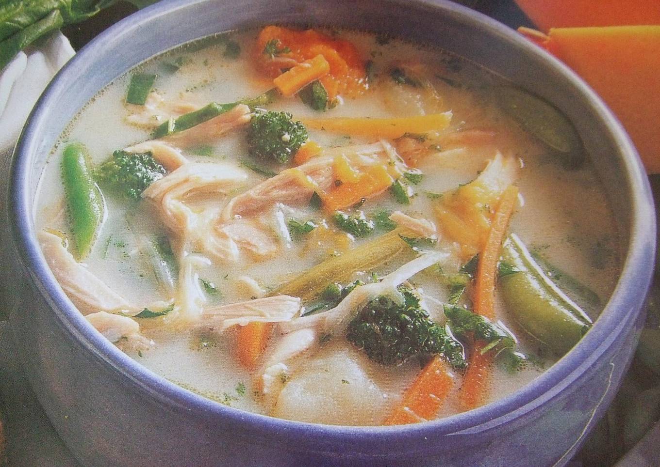 Sopa de pollo deshilado con hortalizas