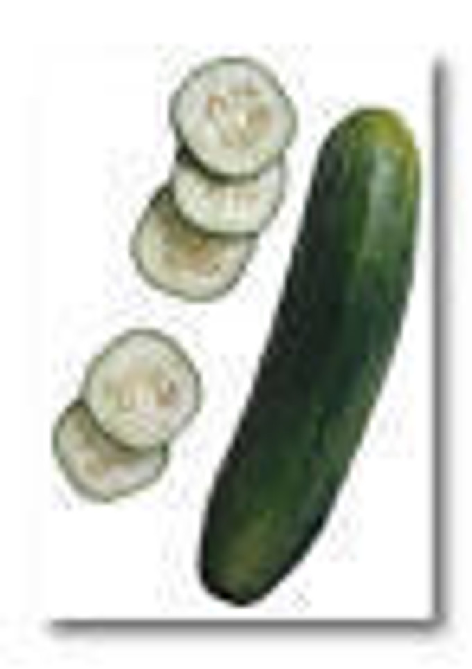 Una foto de Crema de pepino
