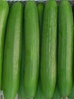 Una foto de Aceite de menta y pepino