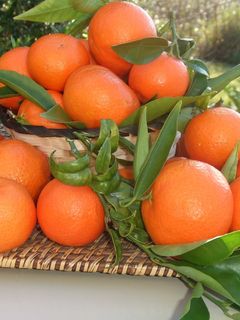 Una foto de Salsa de mandarina