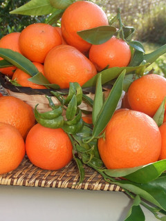Una foto de Salsa de mandarina