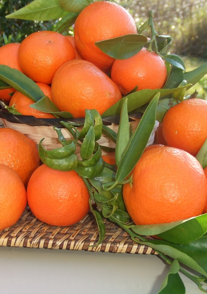 Una foto de Salsa de mandarina