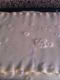 Canelones con bechamel