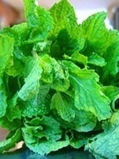 Una foto de Helado de menta