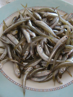 Una foto de Chirrete del Mar Menor