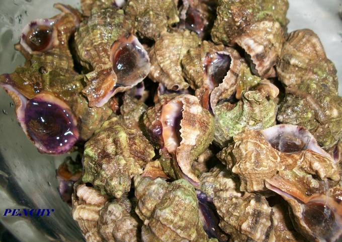 Caracolas del Mar Menor cocidas Receta de penchi briones garcia- Cookpad
