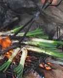 Calçotada (cebolletas a la brasa)