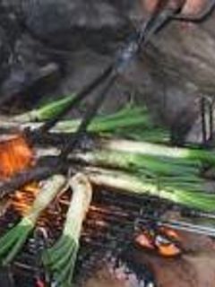 Una foto de Calçotada (cebolletas a la brasa)