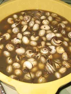 Una foto de Caracoles pequeños picantes caldosos