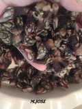 Cocer percebes