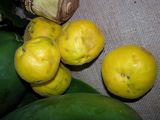 MERMELADA DE ARAZA