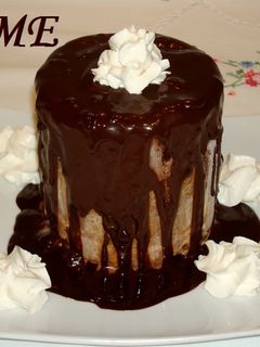 Una foto de Charlota helada de mousse de chocolate y helado