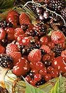 como hacer compota casera de guayaba con maizena como hacer compota casera de guayaba con maizena