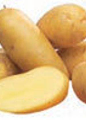 Una foto de Patatas Ratte