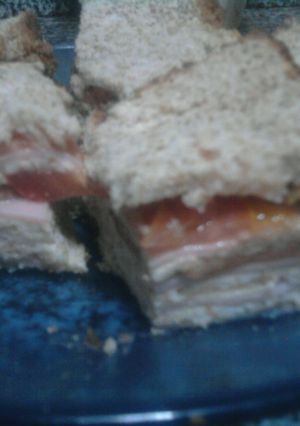Una foto de Sandwich de 5 capas