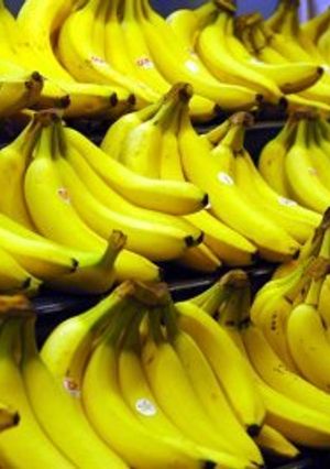 Una foto de Batida de Guineo (banana, banano o platano) maduros 