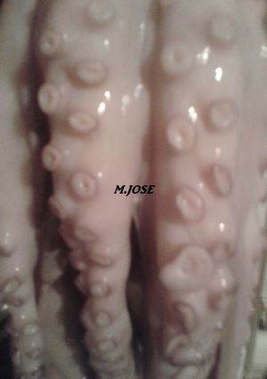 Una foto de Pulpo estofado