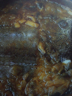 Una foto de Bacalao al club ranero