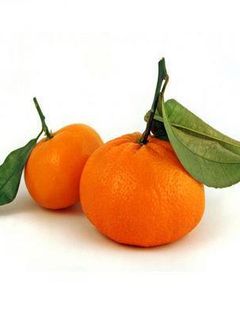 Una foto de Almíbar de mandarina