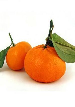 Una foto de Almíbar de mandarina