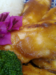 Una foto de Solomillos de pollo con salsa de manzana hoisin