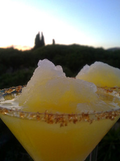 Una foto de Margaritas mediterráneos