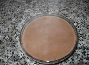 Una foto de Cuajada de chocolate