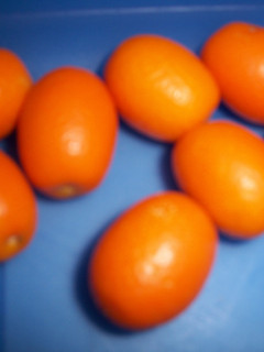 Una foto de Licor de naranjas Chinas (Kumquat)