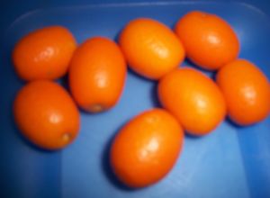 Foto principal de Licor de naranjas Chinas (Kumquat)