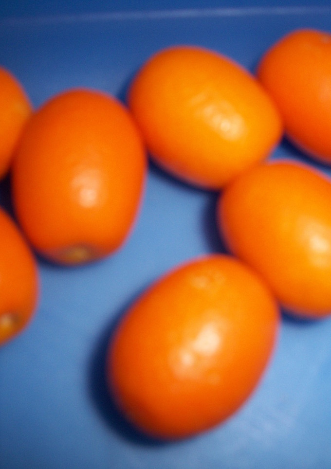 Una foto de Licor de naranjas Chinas (Kumquat)